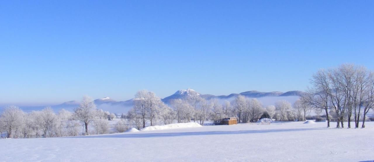 Logis Las Crozas La Cocotte Vernines Buitenkant foto